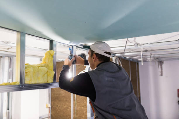 Trusted Smithton, IL Insulation Experts