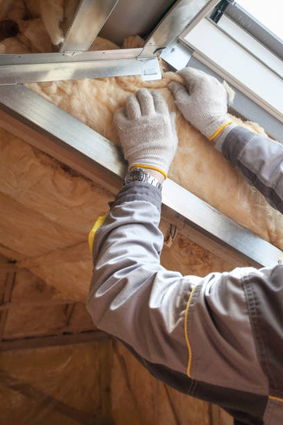 Best Wall Insulation Installation  in Smithton, IL